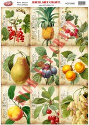 8006 PİRİNÇ DEKUPAJ KAĞIDI (Rice Paper) - Thumbnail
